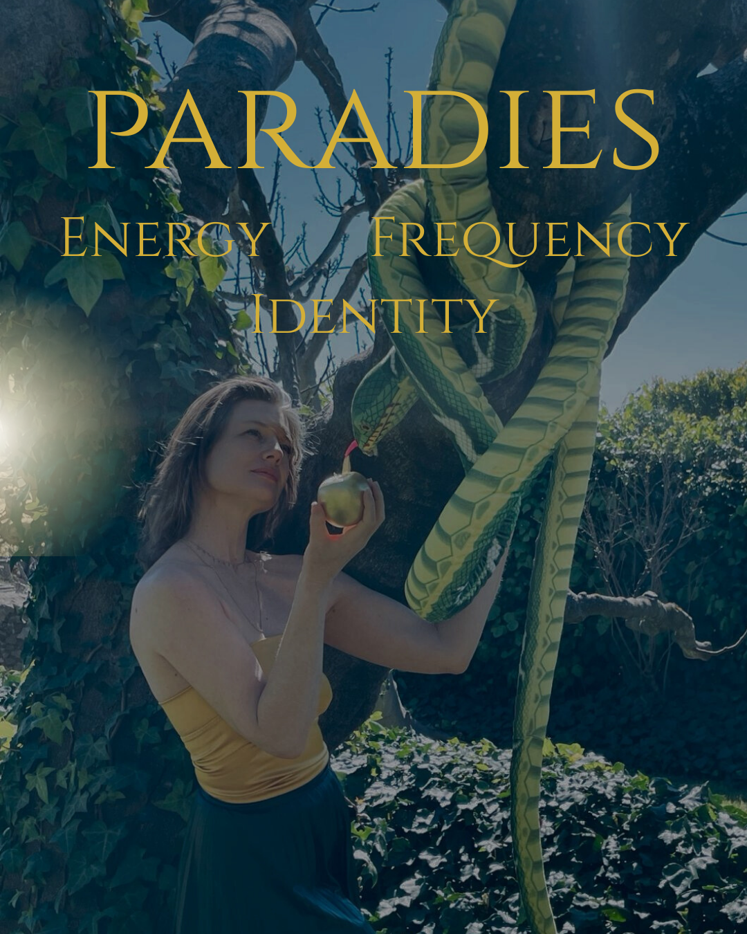 Energy coaching identity frequenz